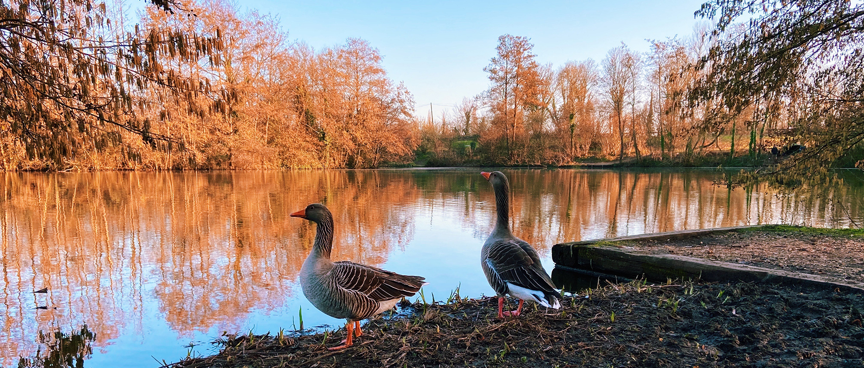 Lakeside Country Park, Eastleigh